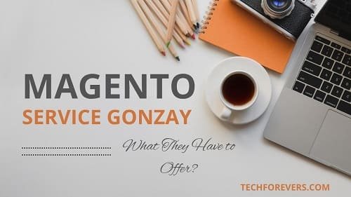 Magento Service Gonzay: Expert Solutions for Scalable and High-Performance eCommerce Stores